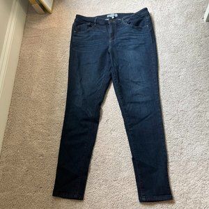 Wit & Wisdom "Ab" solution Jeans